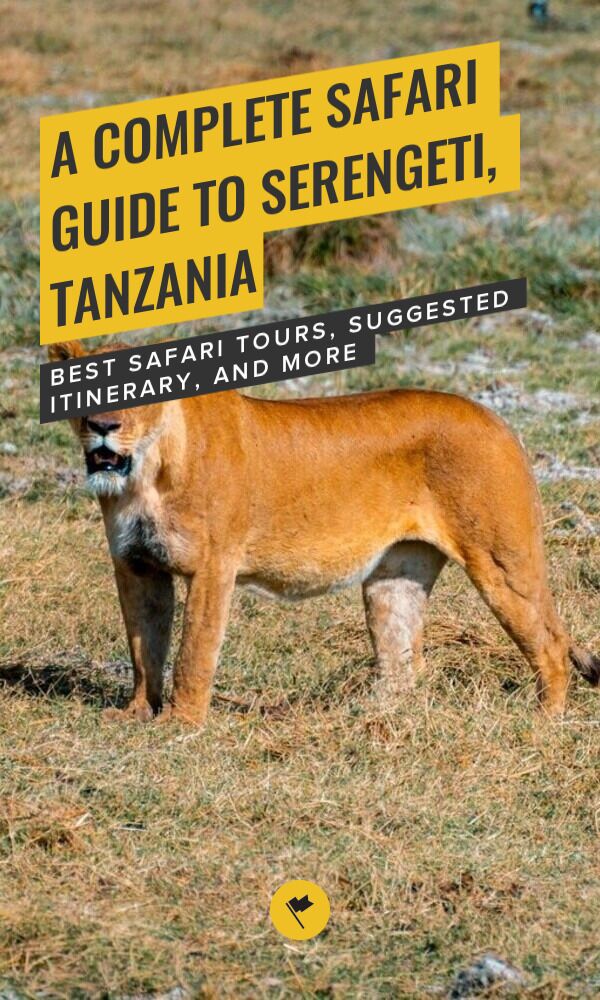 Share Visiting Serengeti in 2026: A Complete Safari Guide on Pinterest.