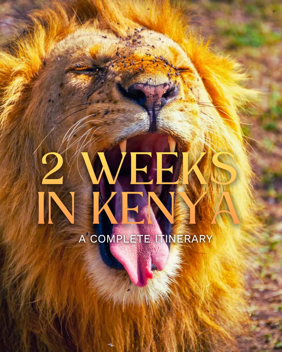 Share 7 - 14 Days Backpacking Kenya Itinerary on Pinterest.