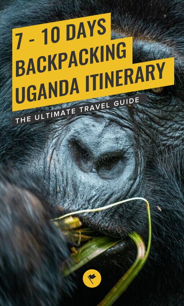 Share 7-10 Days Itinerary for Uganda: A Backpacking Guide on Pinterest.