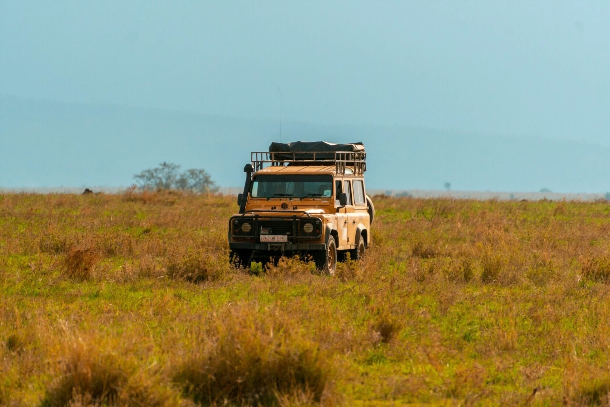 Renting a Car in Zanzibar: 8 Things You Need to Know - A Complete Guide to Renting A Car in Zanzibar