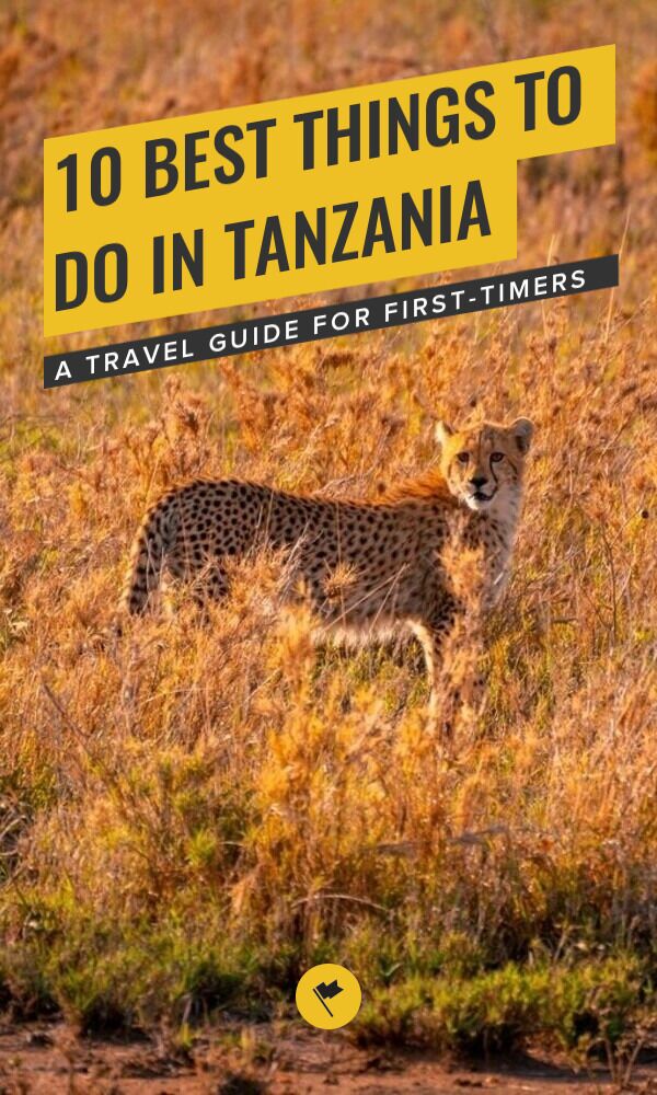 Share Discover Tanzania: 10 Best Things to Do in 2026 on Pinterest.