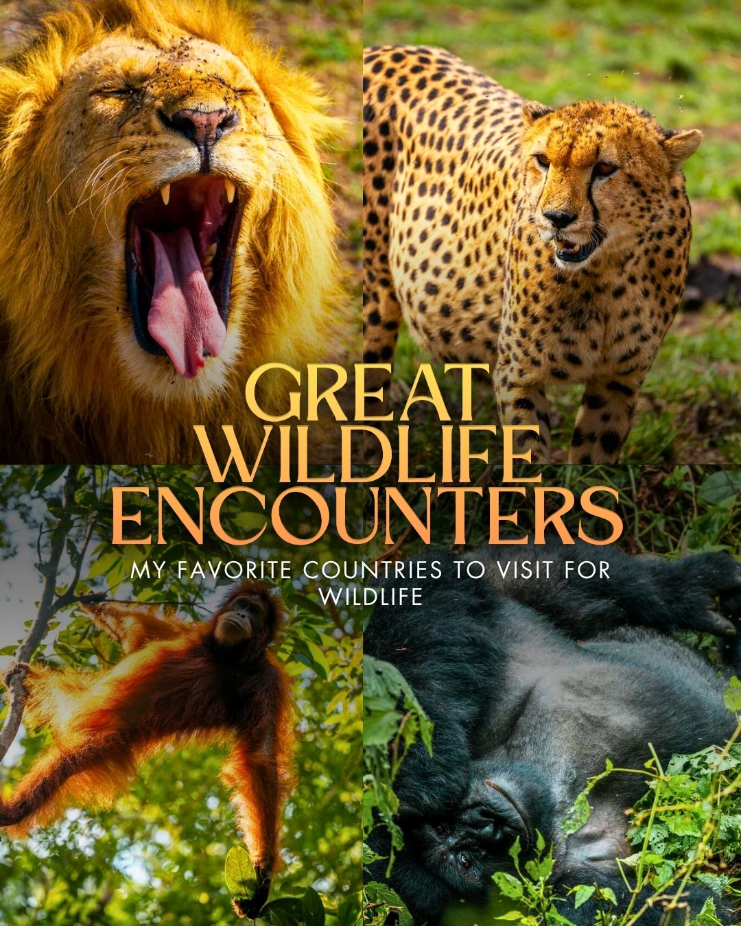 Share 10 Best Wildlife Destinations for 2026: Most Epic Encounters on Pinterest.