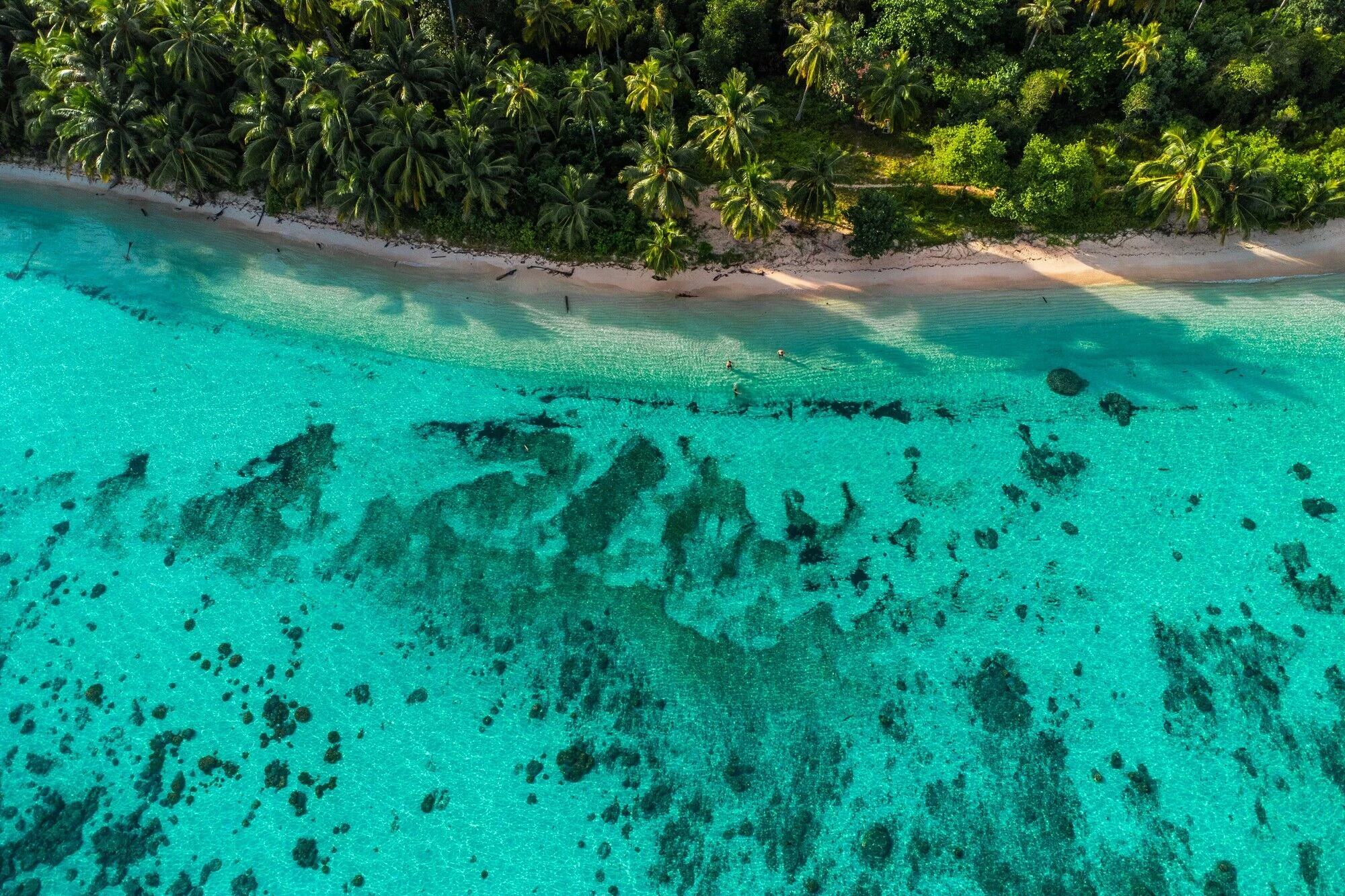 A Complete Travel Guide to Mentawai Islands