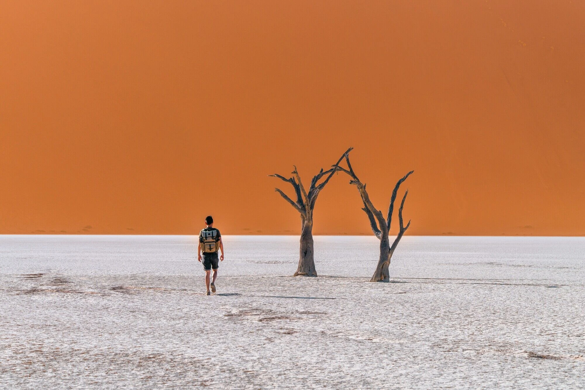 The Ultimate Guide to Sossusvlei - One-day Itinerary, How to Get There, and More