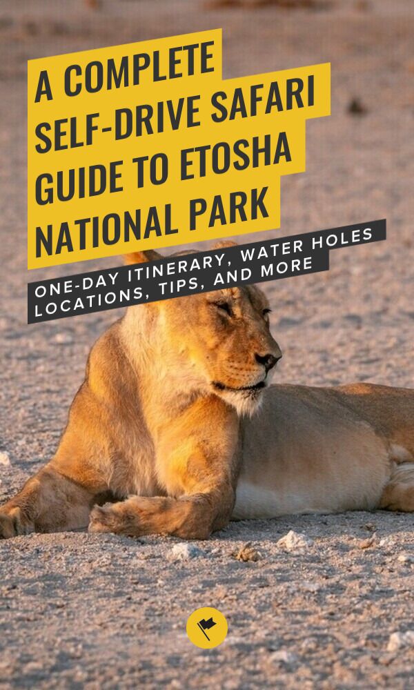 Share A Complete Self-Drive Safari Guide to Etosha National Park on Pinterest.