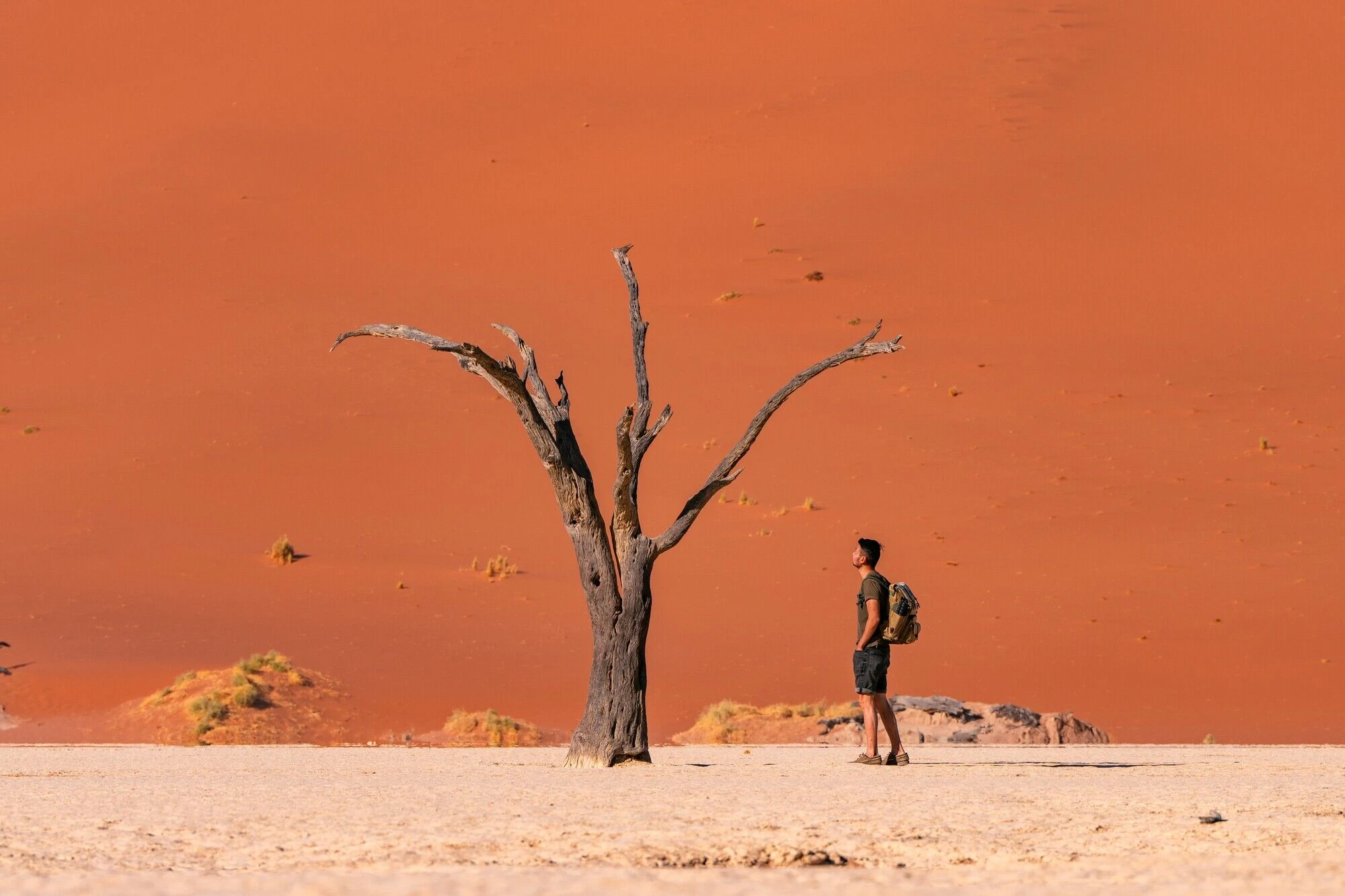 Namibia Bucket List: 10 Must-Do Experiences - A Travel Guide For First-Timers