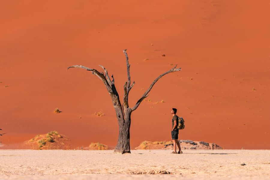 Namibia Bucket List: 10 Must-Do Experiences - A Travel Guide For First-Timers