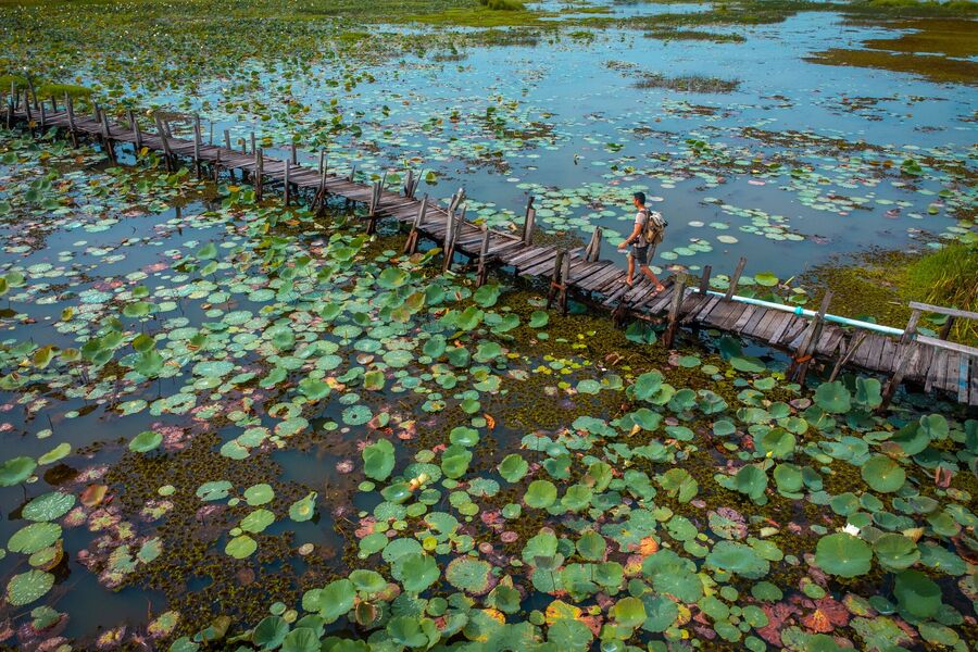 Visiting Maha Sarakham: 9 Amazing Things to Do & More - A Complete Travel Guide