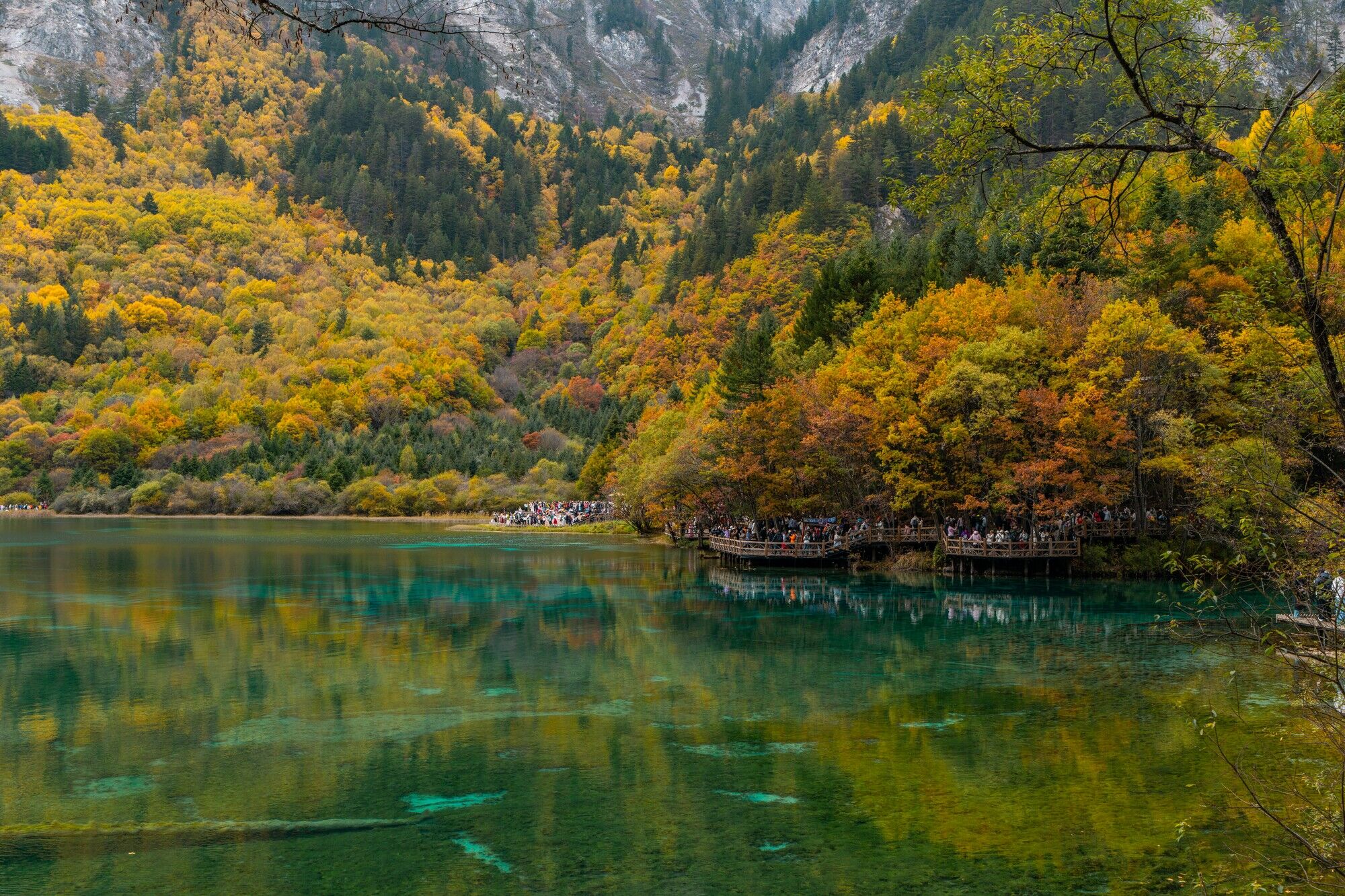Curated visual reference: Visual Reference: Exploring Jiuzhaigou A Complete Travel Guide