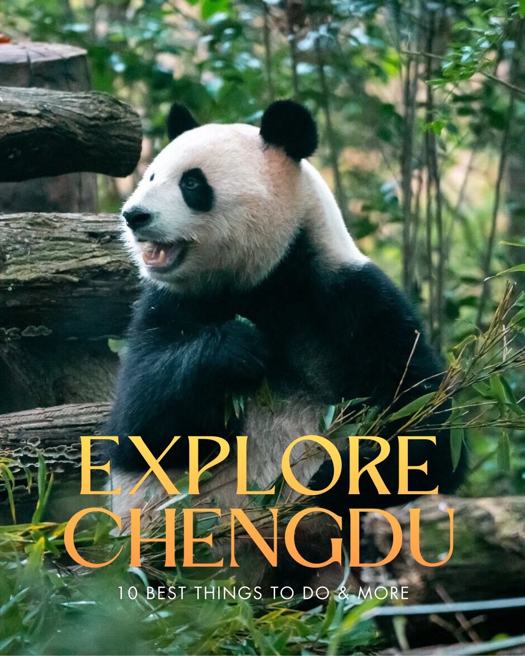 Share Chengdu Travel Guide: 10 Best Things to Do & More on Pinterest.