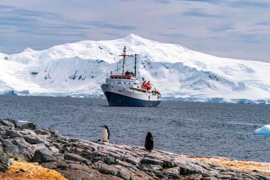 How to Visit Antarctica: A Complete 10-Day Cruise Guide - I Went to Antarctica — Here’s What It Was Like