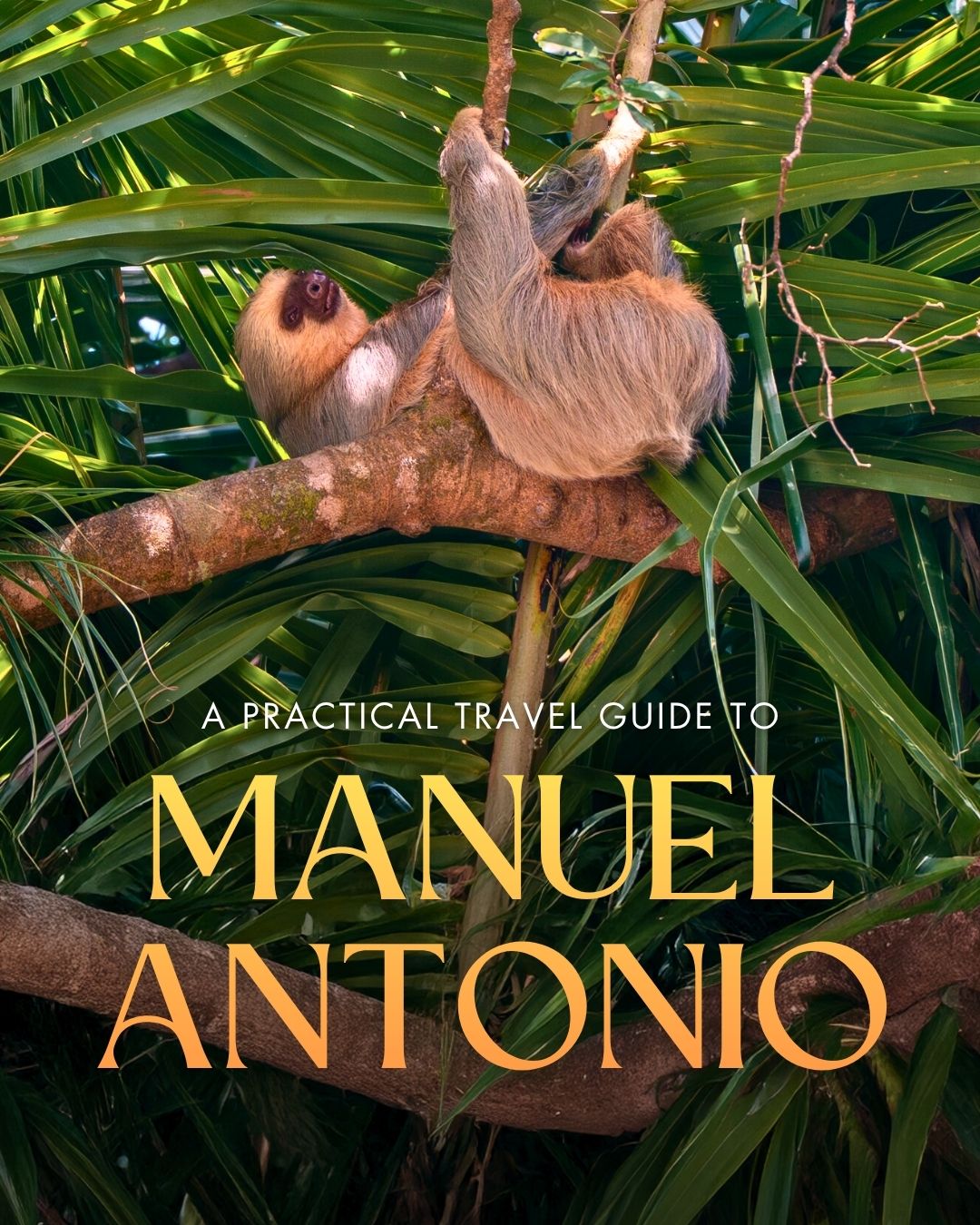 Share Exploring Manuel Antonio: Things to Do, Travel Tips & Itinerary on Pinterest.