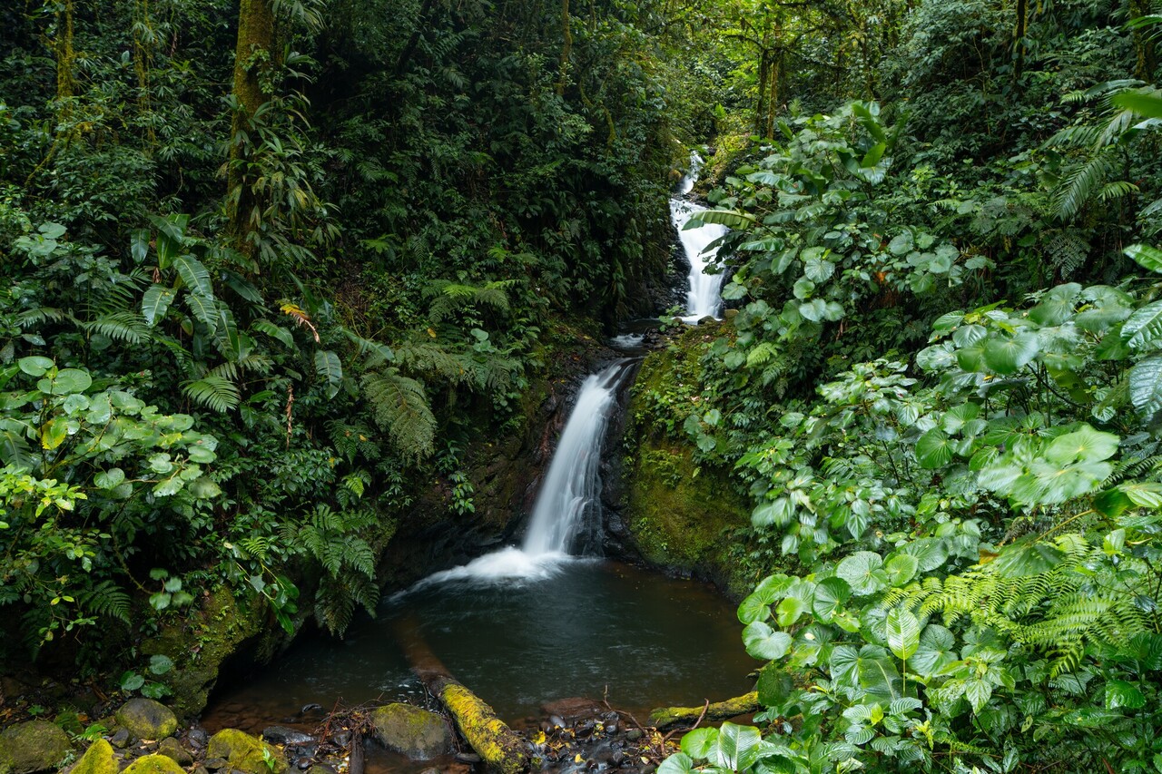 Visiting Monteverde: My Favorite Activities, Travel Tips & Itinerary - A Practical Guide for Independent Travelers