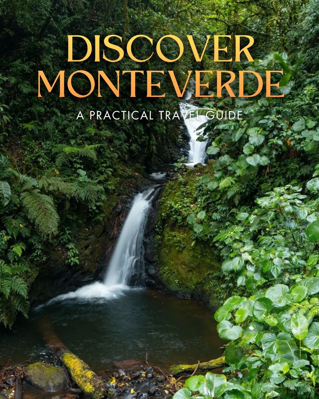 Share Visiting Monteverde: My Favorite Activities, Travel Tips & Itinerary on Pinterest.