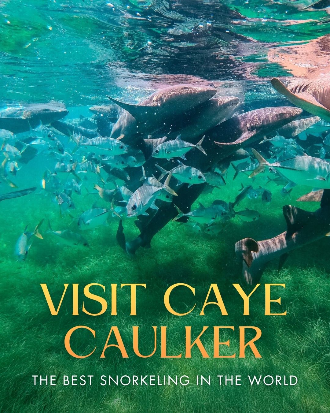 Share Discover Caye Caulker: 10 Best Things to Do & More on Pinterest.