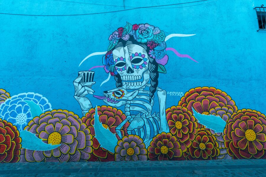 Discover Oaxaca: Best Things to See, Itinerary & More