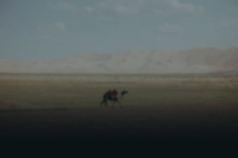 Mongolia Background Image