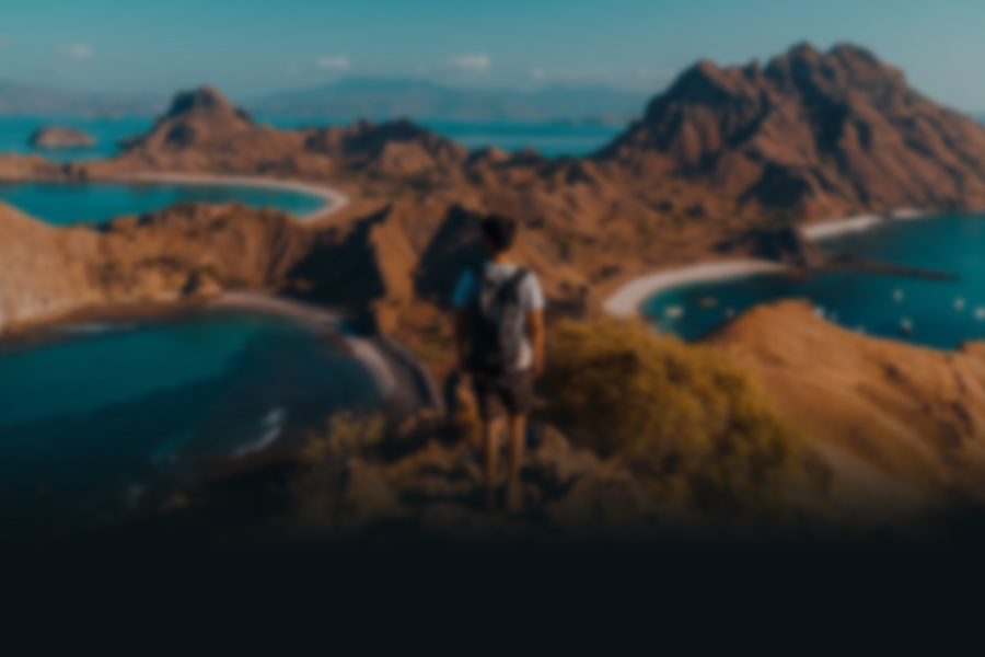 Flores Background Image
