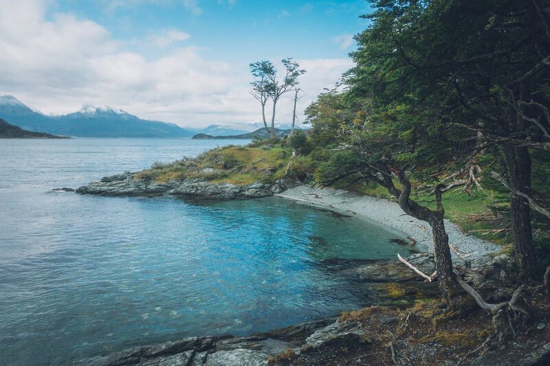 als u op zoek bent naar een epische wandeling, doe dan trail # 4: Cerro Guanaco Trail die u helemaal naar de top van een berg brengt waar u een panoramisch uitzicht op het Beagle Channel en de Darwin mountains kunt zien