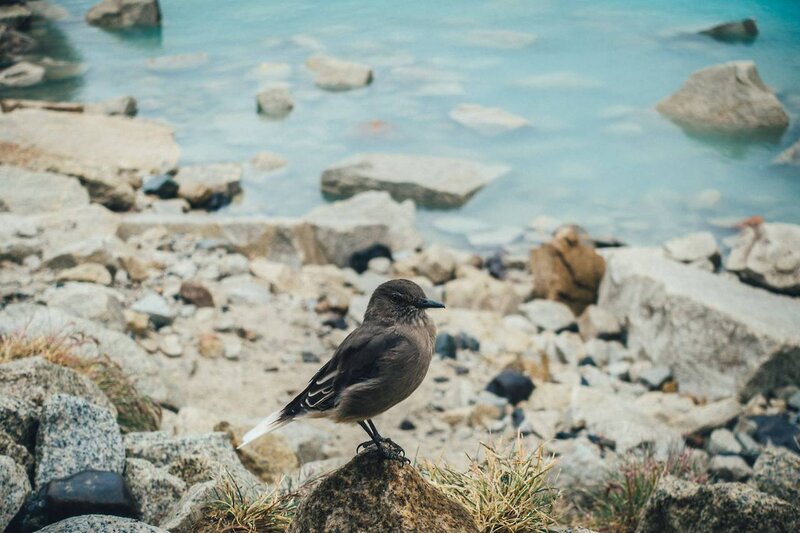 Passer environ une heure là-haut, se reposer, déjeuner, et prendre des photos avant de repartir par le même chemin