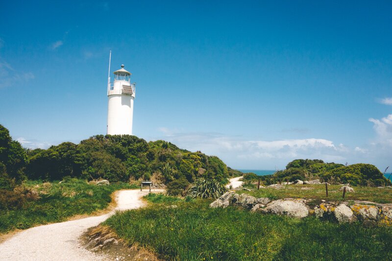 5 Fantastic Things to Do in Westport, New Zealand for Solo Travelers