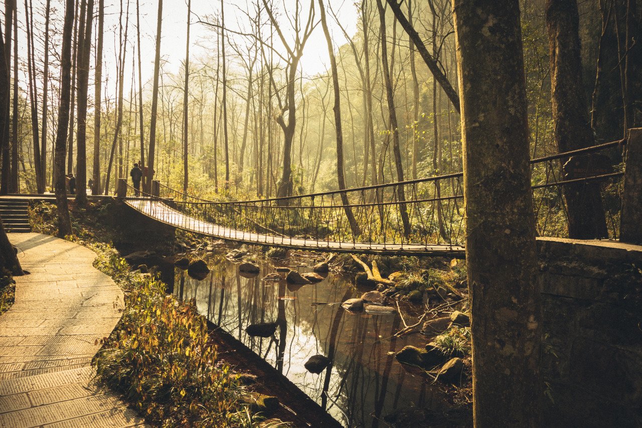 A suspension bridge along the Golden Whip Stream in Zhangjiajie