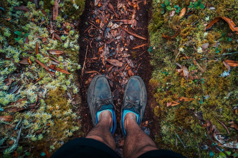 egy személy visel Timberland cipő egy nyomvonal a mohás erdő Cameron Highlands Malajziában