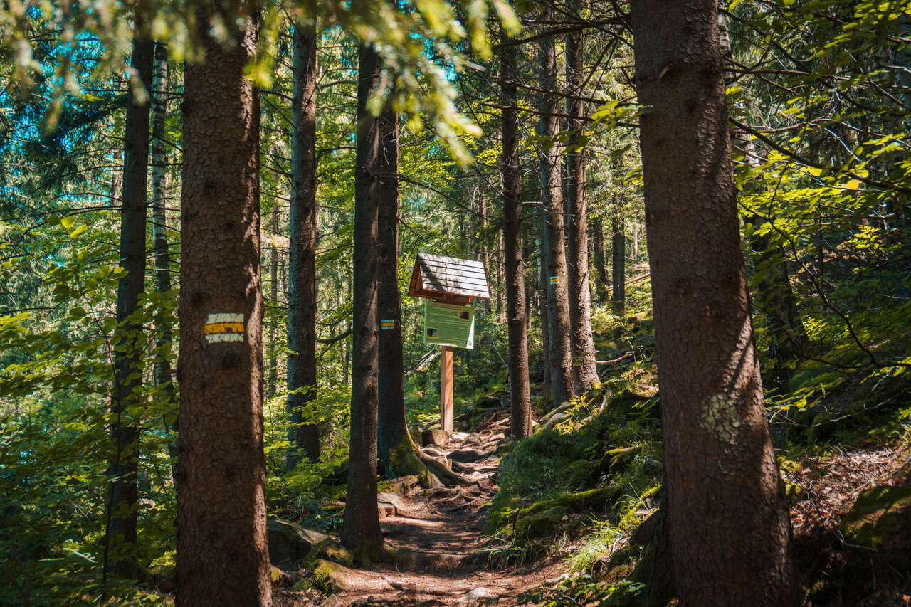 Hiking in Ukraine