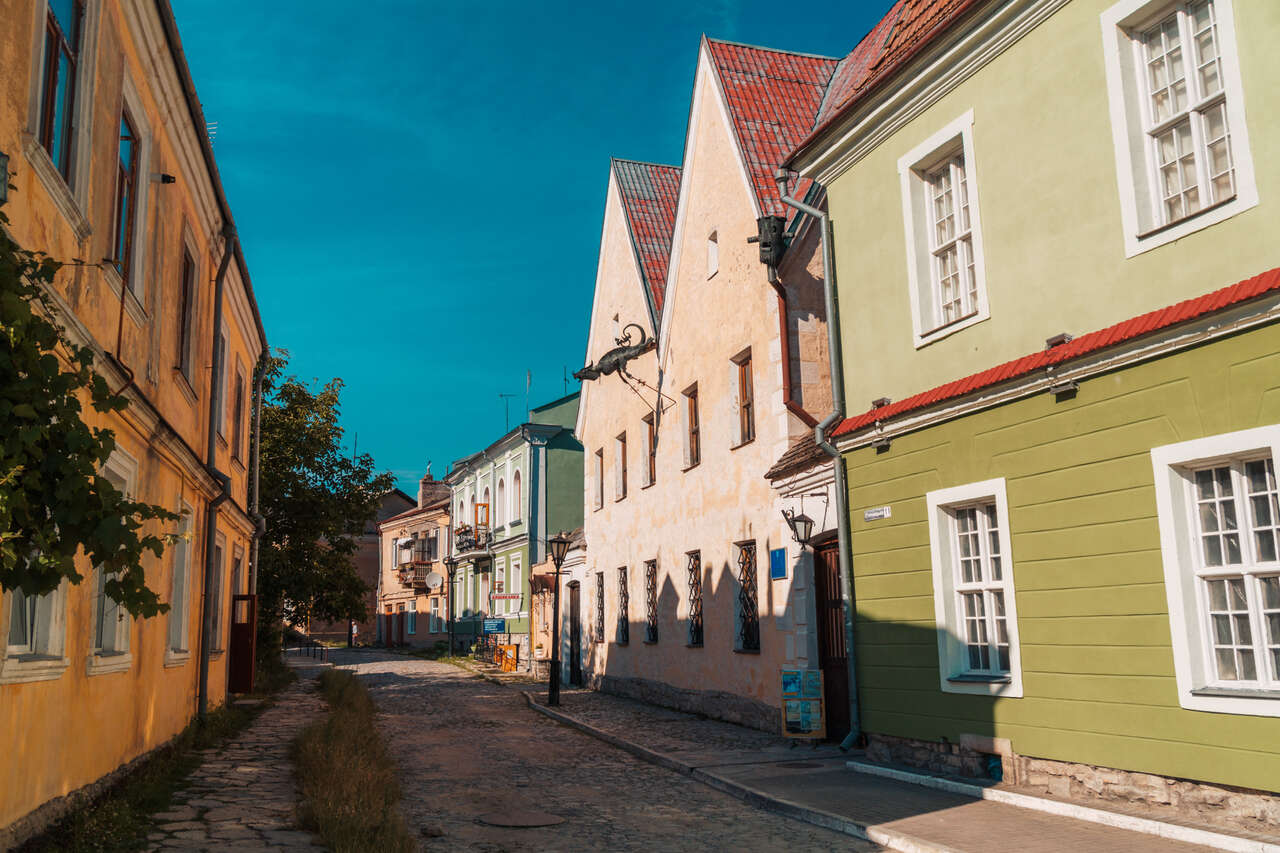 The dragon decoration in front of the Russian Council in Kamianets-Podilskyi, Ukraine.