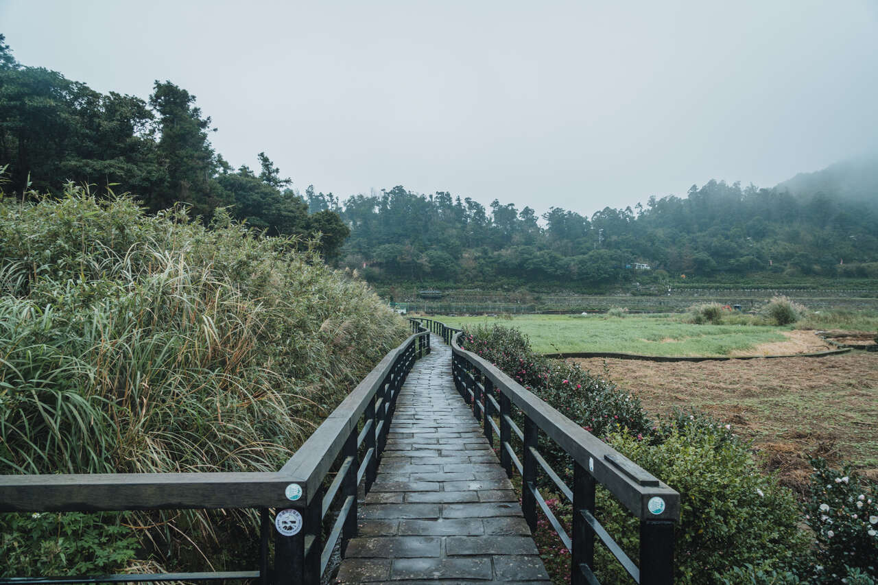 A short nature trail in Yangmingshan near Taipei, Taiwan.