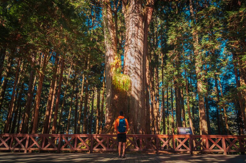 Explore Taiwan: Your 2-Week Backpacking Itinerary