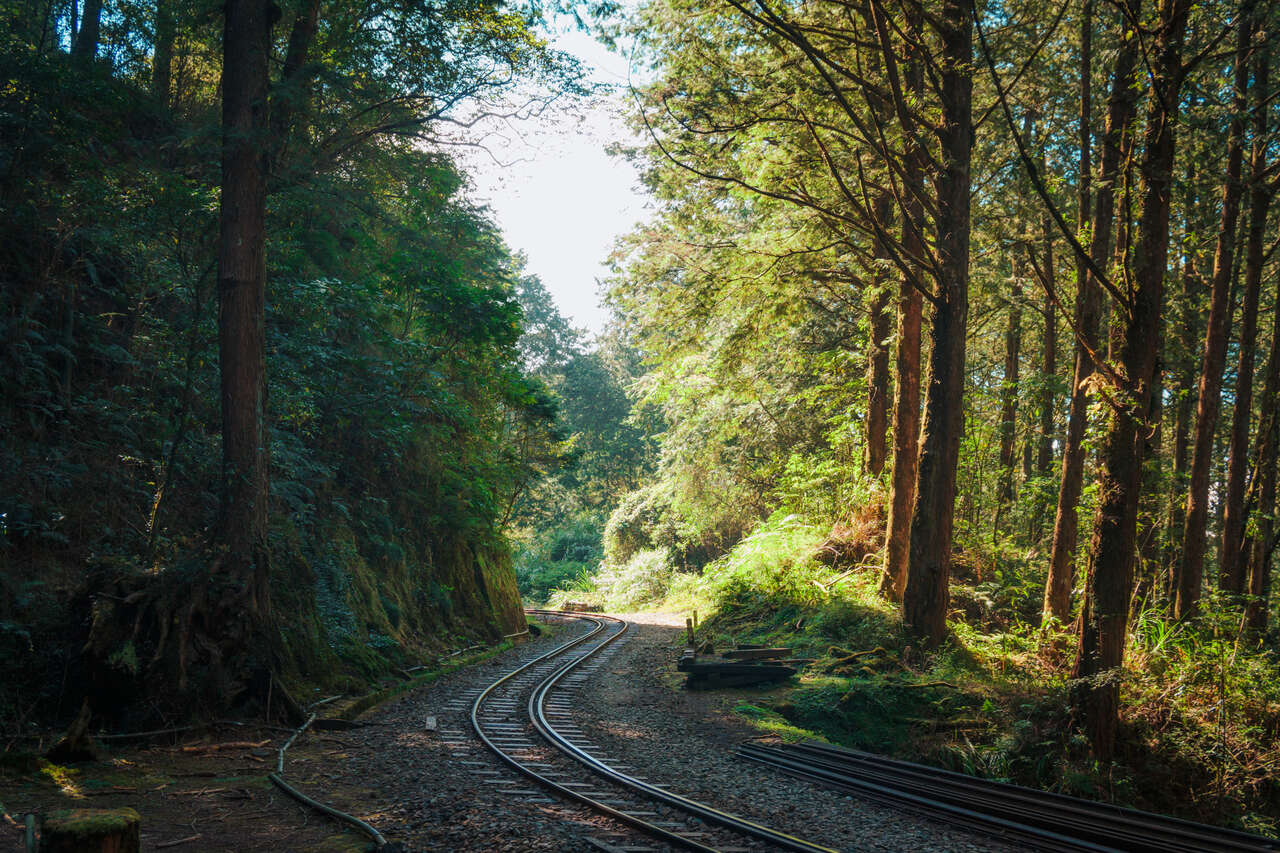 The train track along the Tashan hiking trail in Alishan, Taiwan.