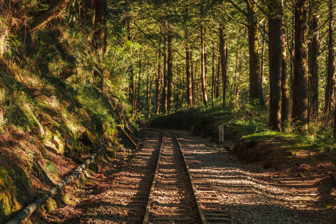 A train track along the Tashan Trail in Alishan, Taiwan.