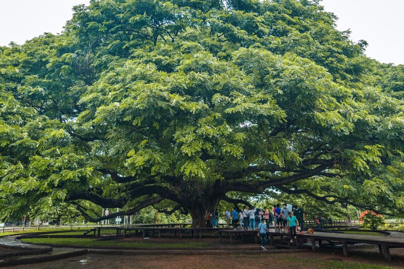 Discover Kanchanaburi: 17 Epic Things to See and Do