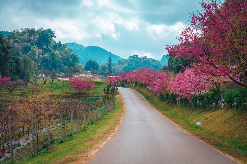10 BEST Things to Do in Doi Ang Khang, Chiang Mai