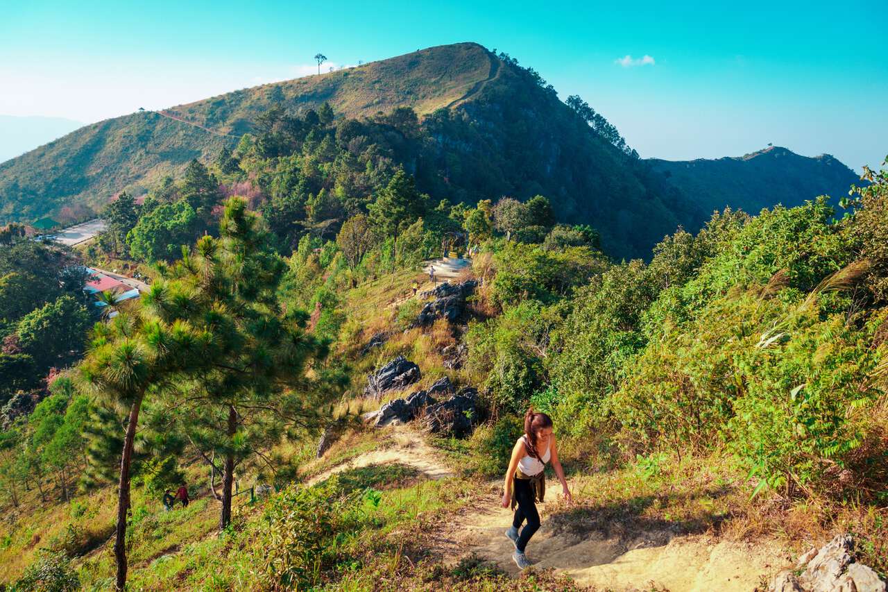 A woman hiking up the trail to Doi Pha Tang near Phu Chi Fa, Chiang Rai
