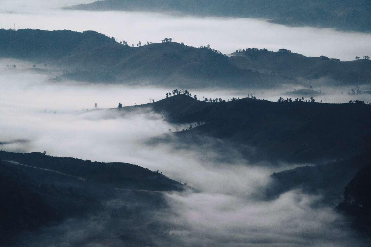 Sea of clouds seen from Phu Chi Fa in Chiang Rai