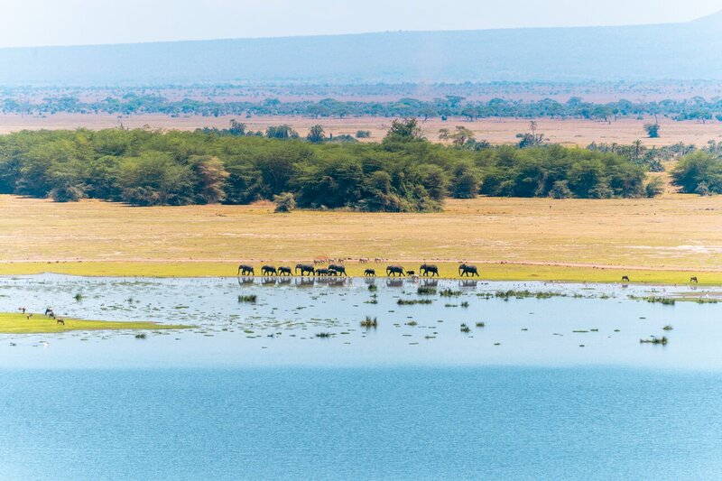 How to Get To Diani Beach, Kenya