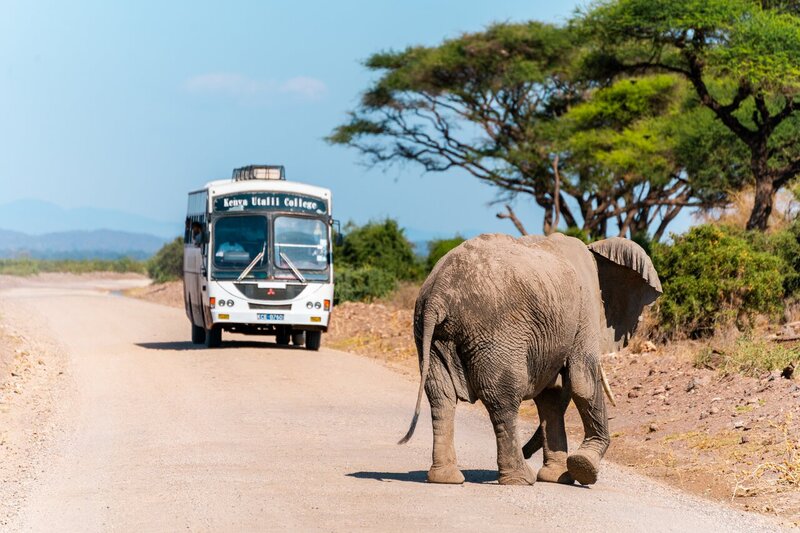 How to Get To Diani Beach, Kenya