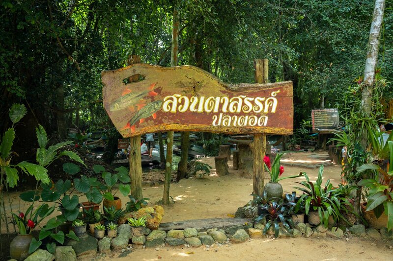 11 Awesome Things to Do in Surat Thani for Solo Travelers