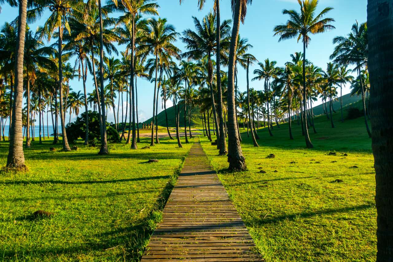 Anakena Beach in Easter Island