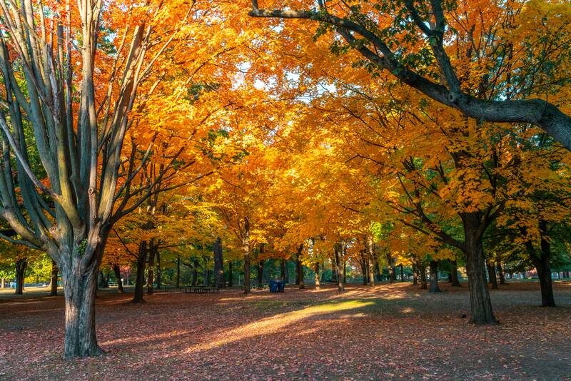 3 Days in Toronto: A Backpacking Itinerary