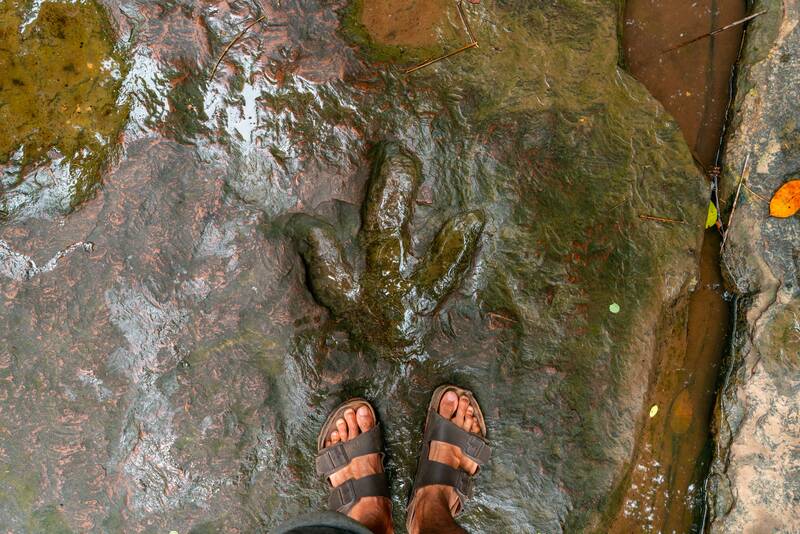 Kalasin Guide: 8 Best Things to Do & More