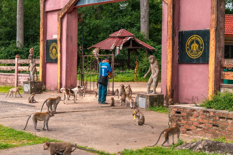 Visit Amnat Charoen: 9 Best Things to Do & More