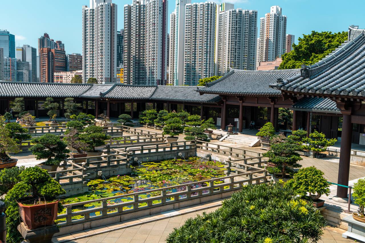 Lotus ponds at Nan Lian Garden