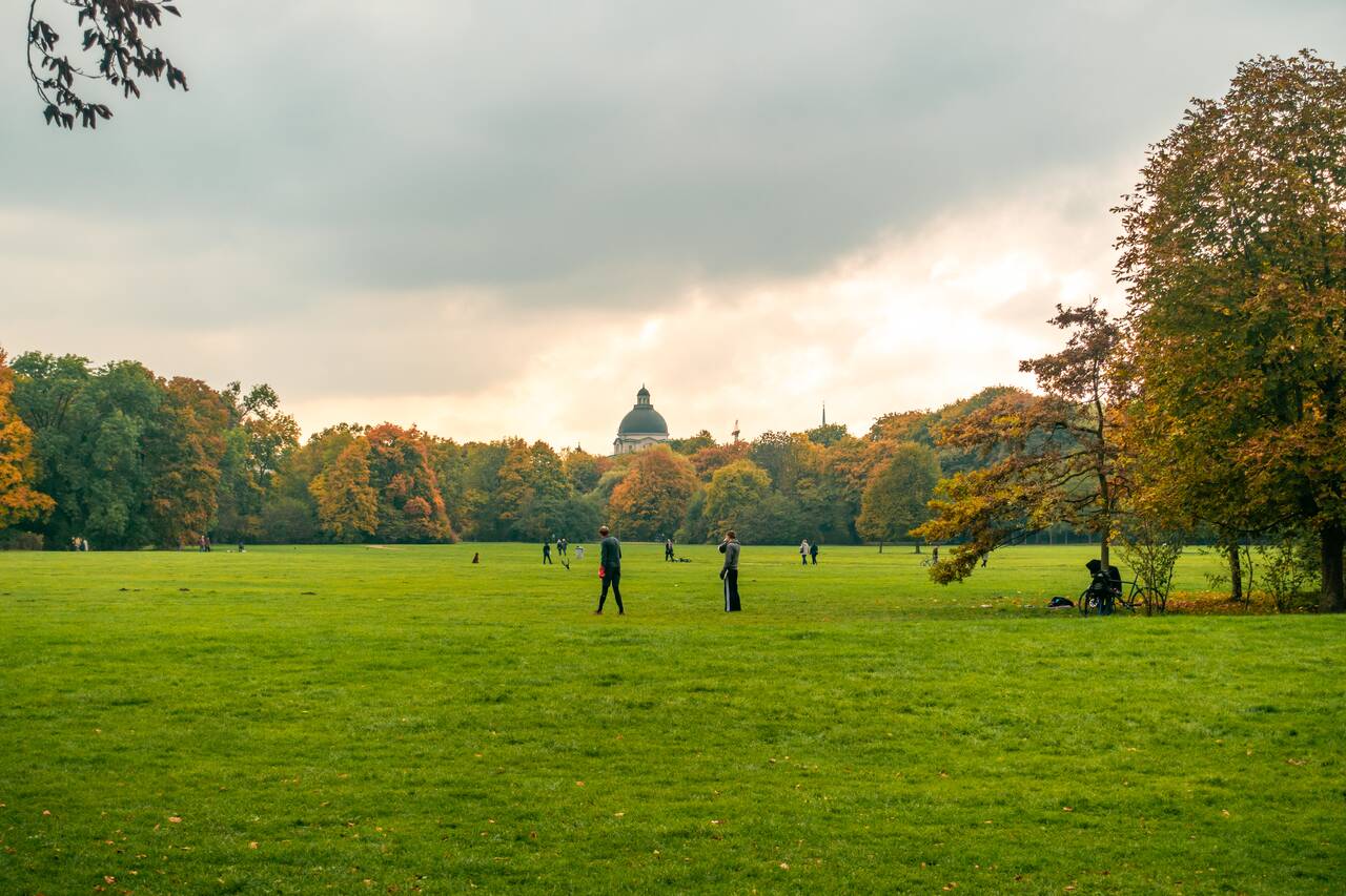 The field at English Garden