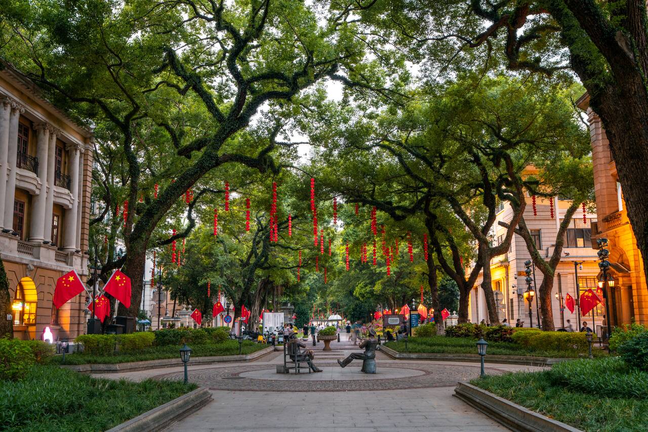Big trees at Shamian Dao Island