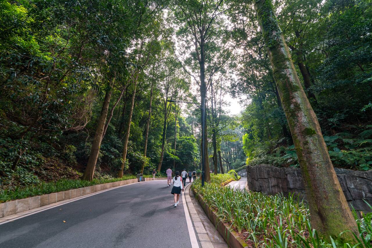 People hiking Baiyun Mountain Scenic Area
