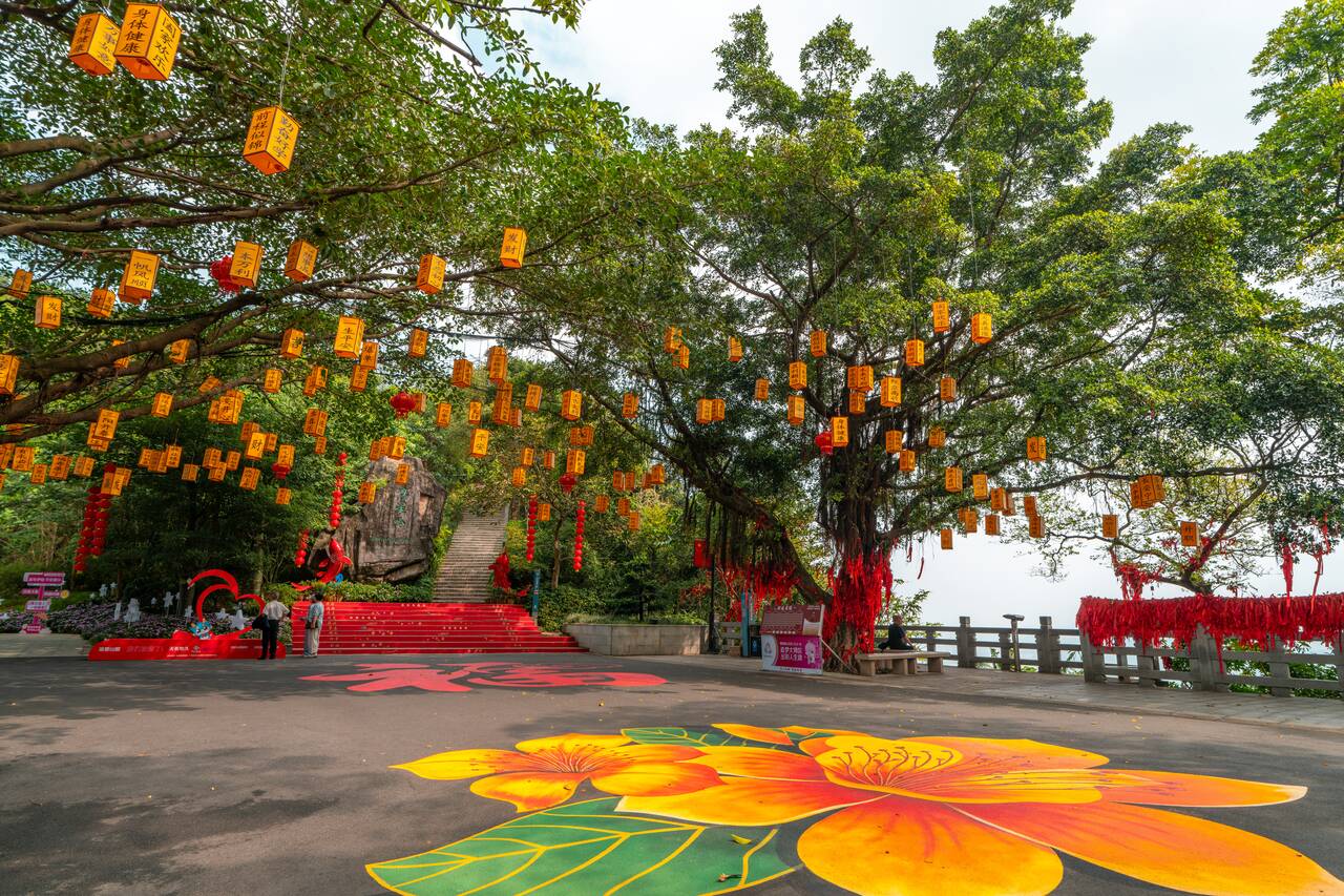 The way up to Moxing Mountain