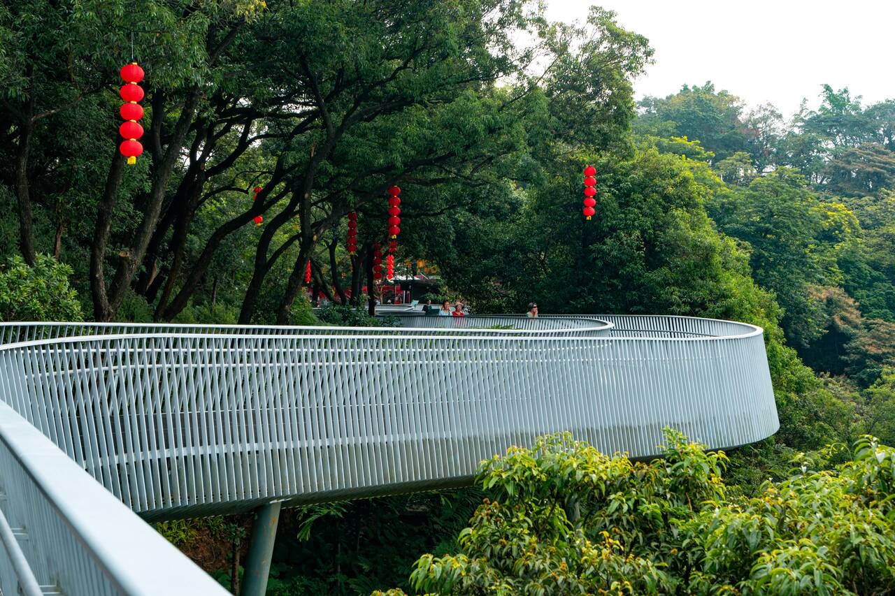 Walkways at Moxing Mountain